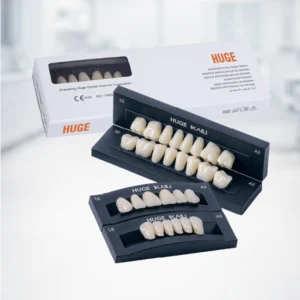 Rehabilitación Oral